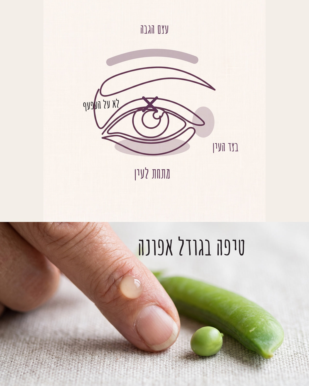 איור של עין עם שלושה אזורים למריחה: מתחת לעין, בצד העין ועל עצם הגבה, ואיקס על העפעף. מתחת לאיור טיפה בגודל אפונה על קצה אצבע, ליד אפונה